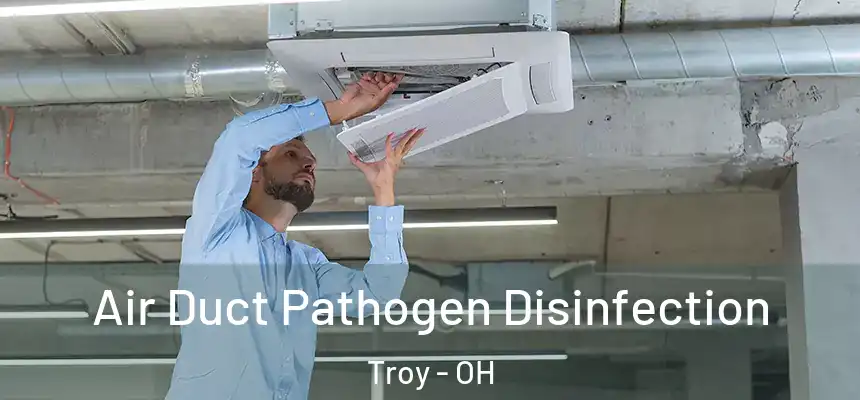  Air Duct Pathogen Disinfection Troy - OH