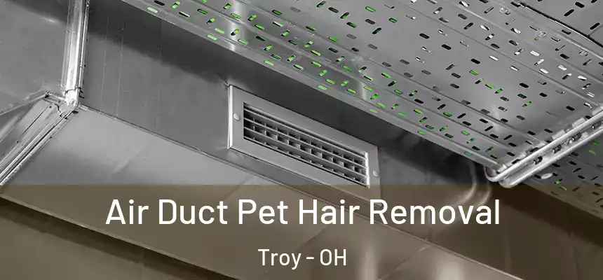 Air Duct Pet Hair Removal Troy - OH