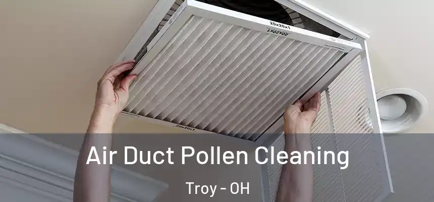  Air Duct Pollen Cleaning Troy - OH