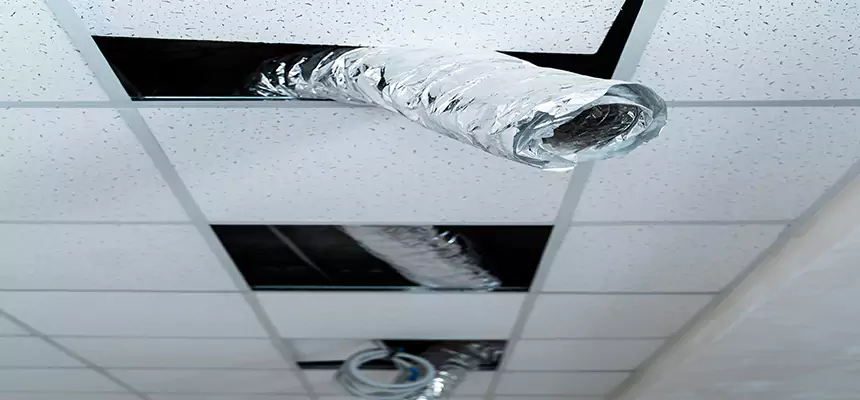 Our Air Duct Pet Hair Removal Services in Troy, OH