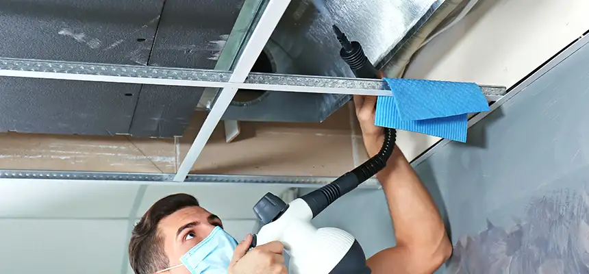 Our Air Duct Rodent Removal Services in Troy, OH