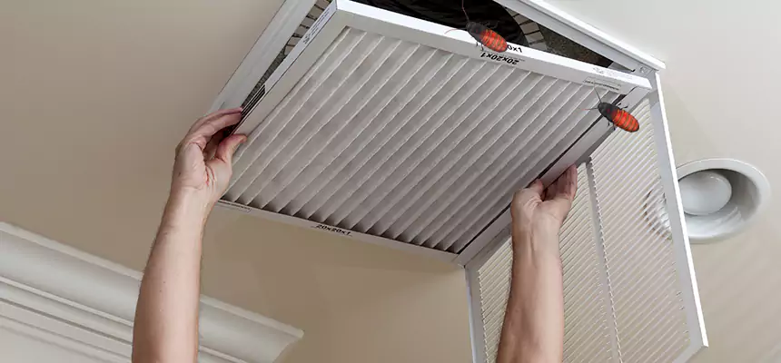 Our Insect Removal from Air Ducts Services in Troy, OH