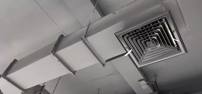 Our Pest Removal From Ducts Services in Troy, OH