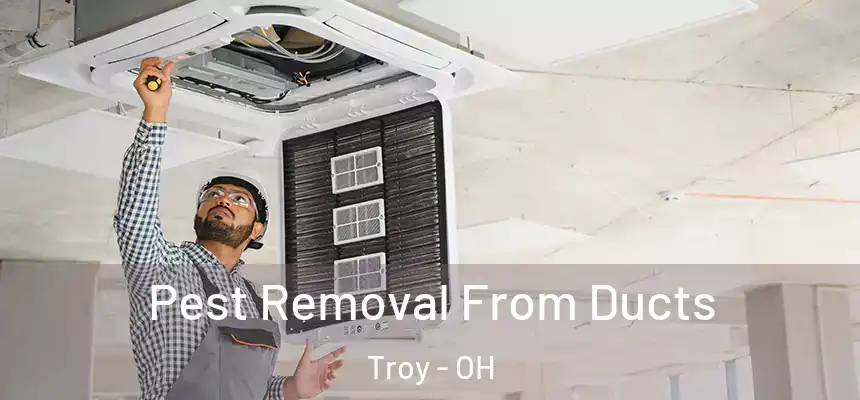  Pest Removal From Ducts Troy - OH