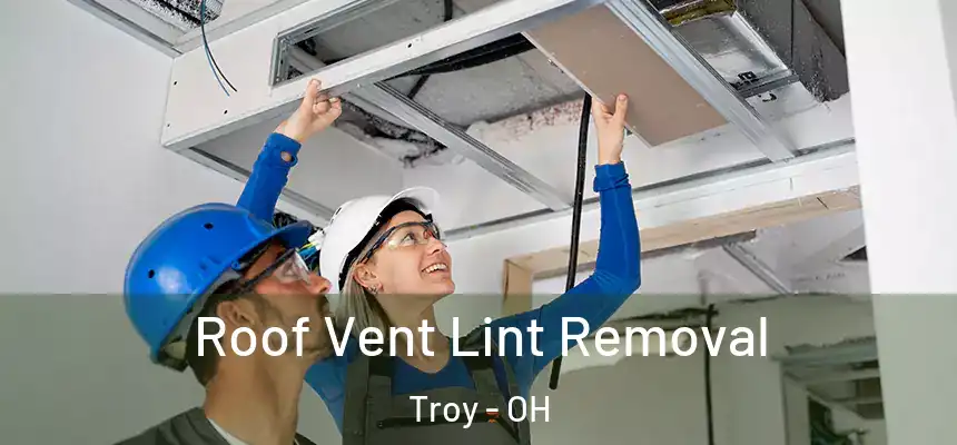  Roof Vent Lint Removal Troy - OH