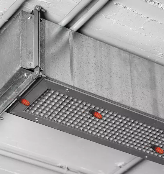 About Air Duct Cockroach Removal in Troy, OH