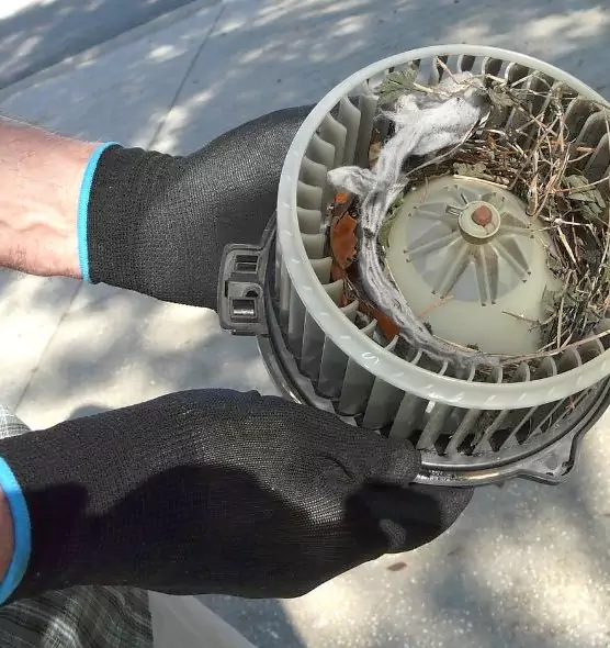 About Air Duct Rat Removal in Troy, OH