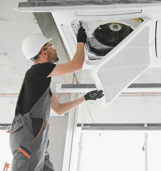 About Air Duct Rodent Removal in Troy, OH