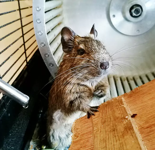 Why Homeowners & Businesses Trust Us Troy, OH